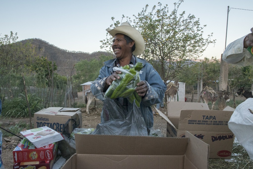 Remedios tradicionales y salud en Bavícora