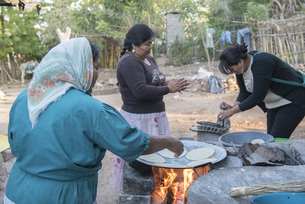 Remedios tradicionales y salud en Bavícora