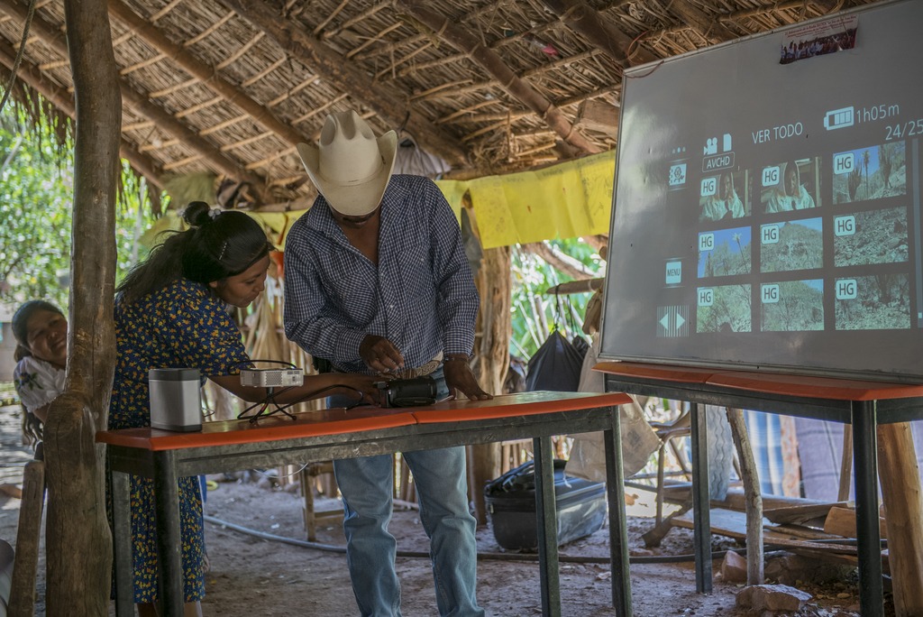 Remedios tradicionales y salud en Bavícora