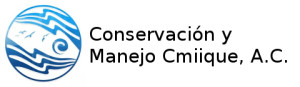  cmiiqueiitom
